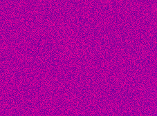 Fierce-Fuchsia