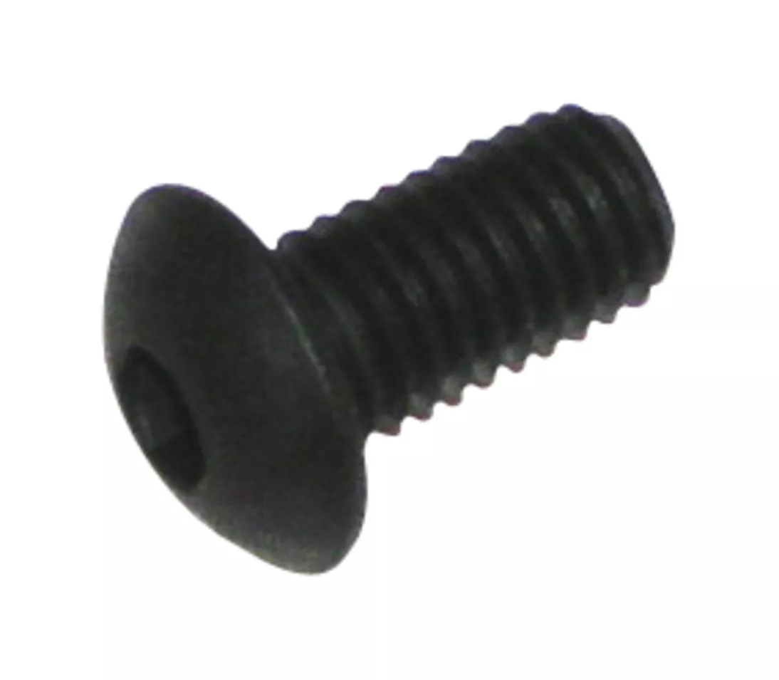 3M™ Hex Socket Button Head Screw (M5X10L) 55159
