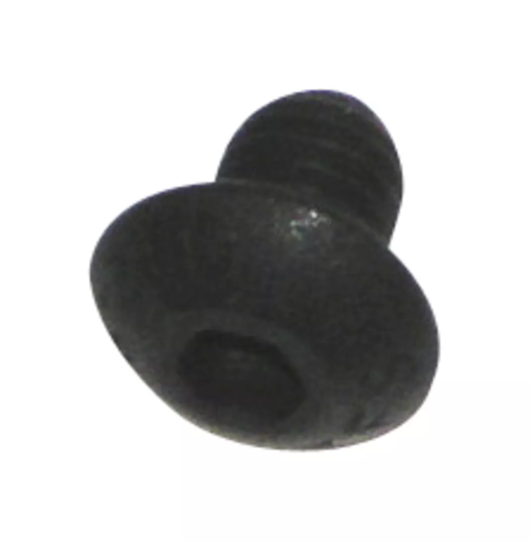 3M™ Hex Socket Button Head Screw (M5X6L) 55158
